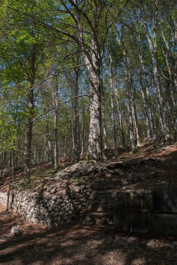 Albergo Parco Della Maiella Sant'Eufemia a Maiella Esterno foto